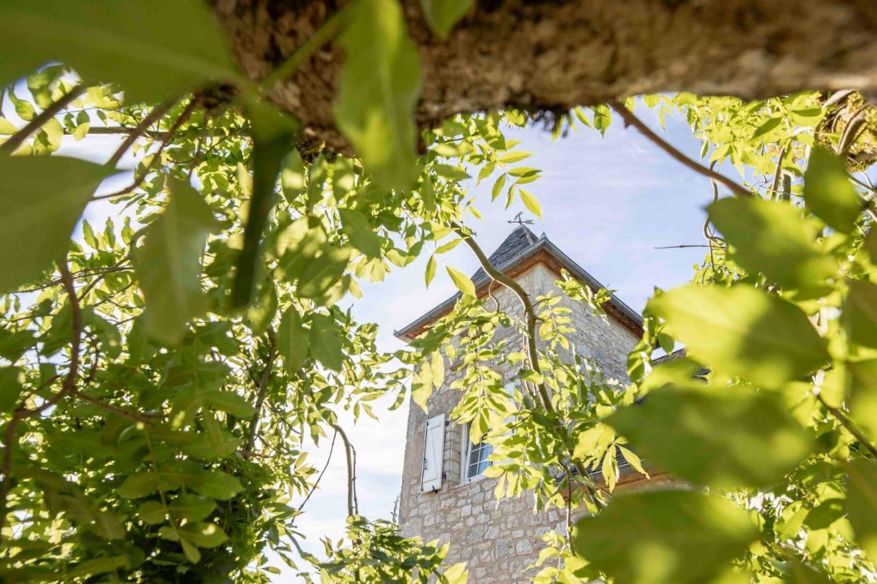 Domaine La Garenne Acomodação com café da manhã Reilhaguet Exterior foto